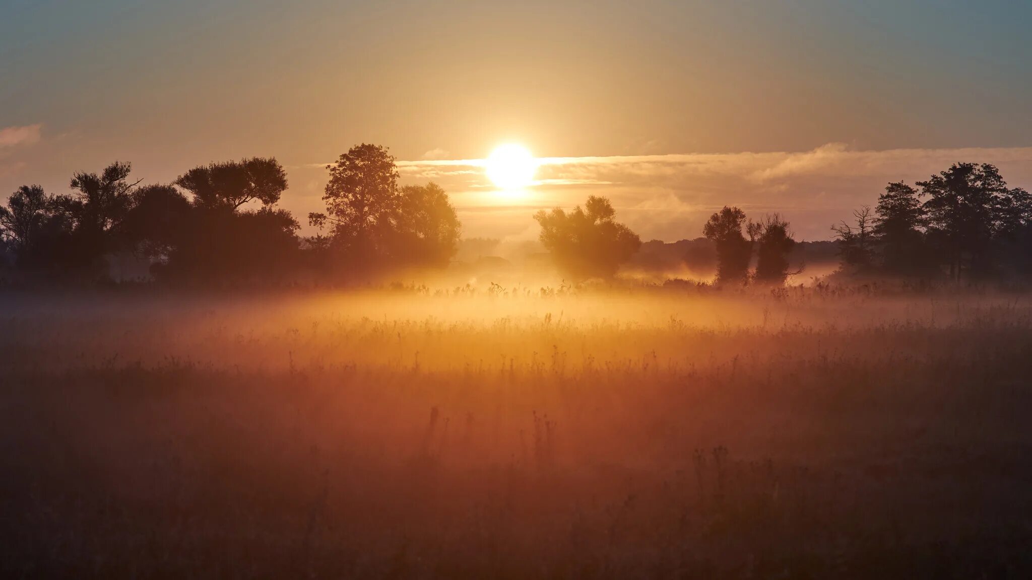 Good morning honey i love you. Sometimes in the morning. Sometimes you can find yourself in the middle of nowhere. Предложения с always. Sometimes in the morning.