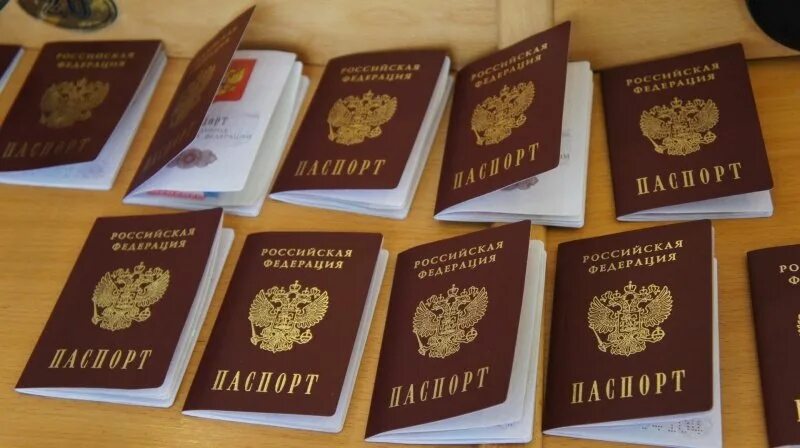 Паспорт проекта гражданин россии Паспорт социального проекта готовый