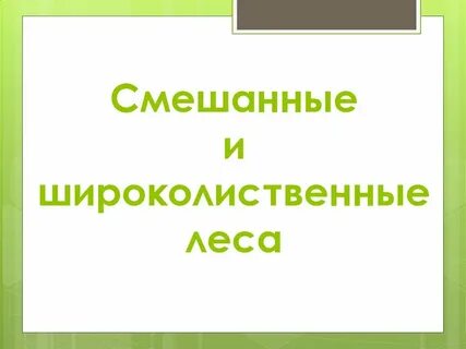Смешанные и широколиственные леса презентация