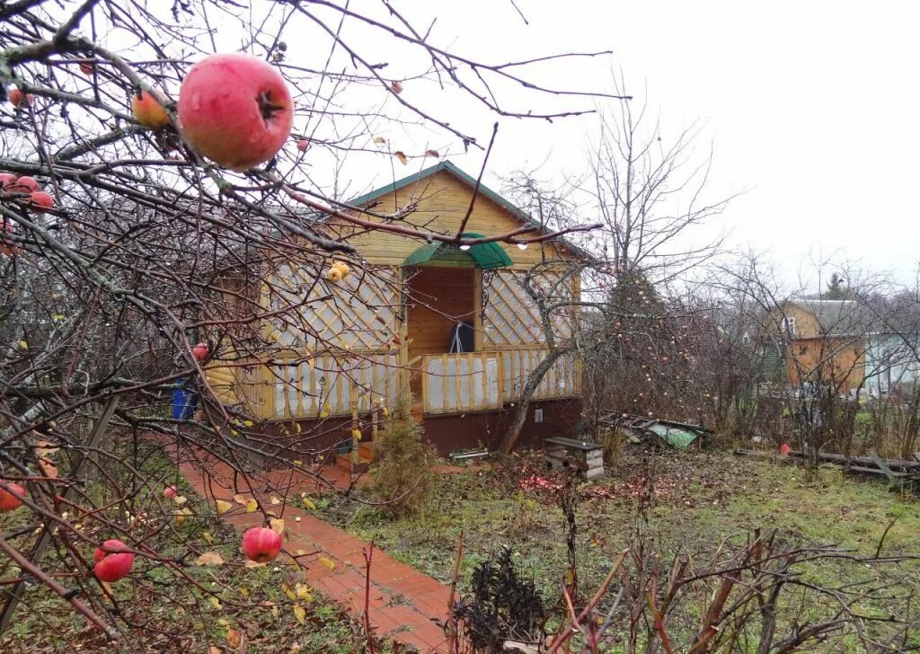 Каменищи. Строительство дорог и домов без ущерба природе. Рычково курганская область. Деревня романовская. Новая дорога в селе.