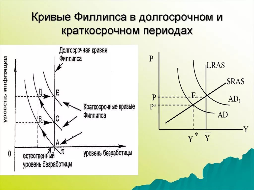 Кривая Филлипса в краткосрочном и долгосрочном периоде. Кривая Филлипса в краткосрочном периоде. Кривая Филипса в краткосрочный и долгосрочный периоды. Кривая Филлипса в долгосрочном периоде.