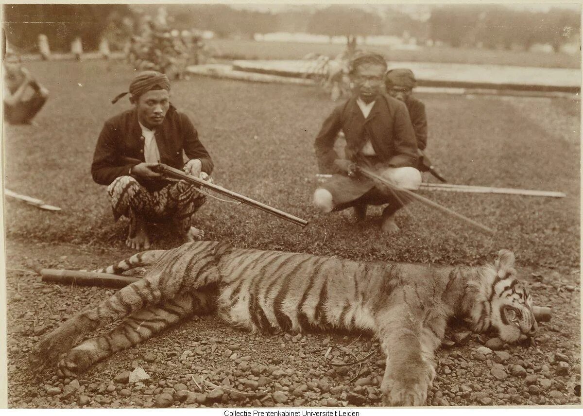 Индрик зверь арт. Львица вегетарианка. Характеристика антилопы кратко. Жорж бюффон естественная история. Тасманийский сумчатый волк.