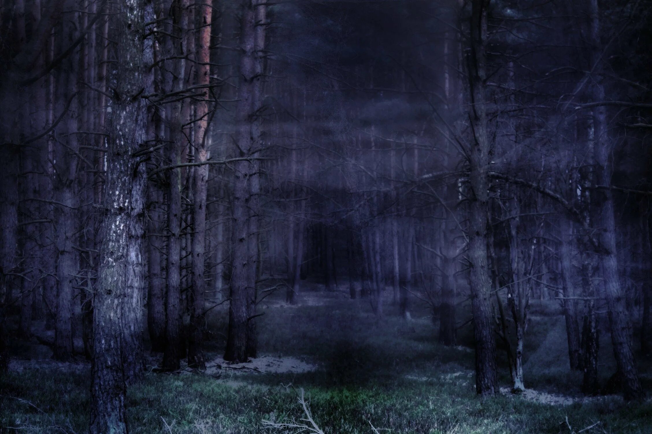 Ужасный фон. Темный лес. Страшный лес. Мрачный фон. Мрачные леса.