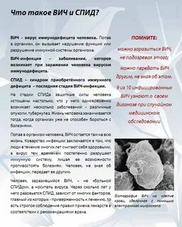 Носитель вич