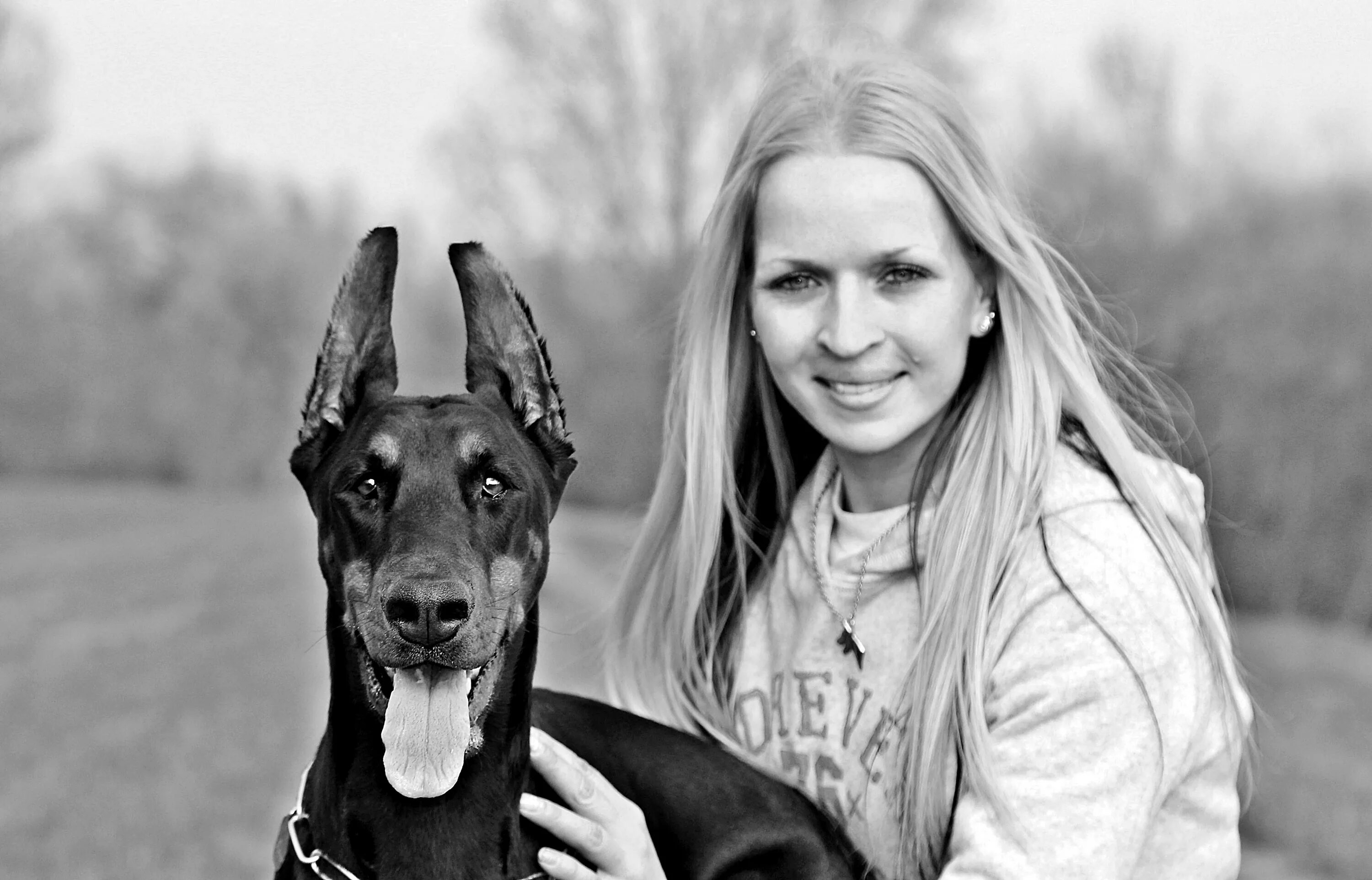 Doberman amanda episode. Белый Доберман. Фотографии добермана. Доберман фото. Белый Доберман фото.