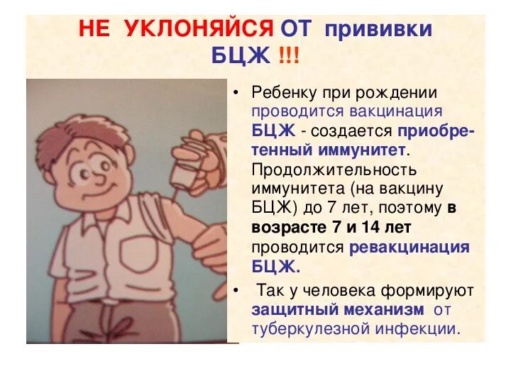 Что такое бцж от чего. Что такое бцж от чего