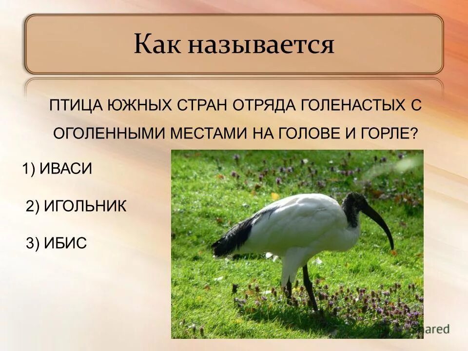 Названия дней недели. Название дней недели на русском. Как называется нп. Коммерческие и некоммерческие организации понятие. Некоммерческие организации.