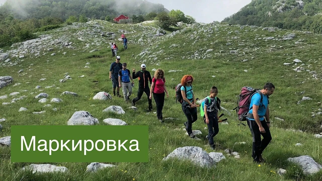 Тропы ютуб. Tracks 2013 фильм. Tracks фильм 2015. Сосновский таежные тропы. Медвежьи тропы хаммер клуб 2021.