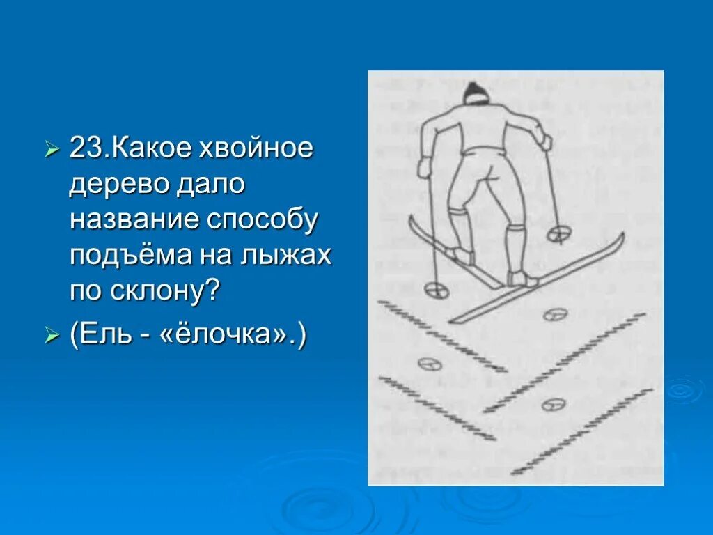 Подъем елочкой на лыжах. Способы подъема на лыжах. Способы подъема на склон на лыжах. Подъем на склон елочкой на лыжах. Способ подъема елочка