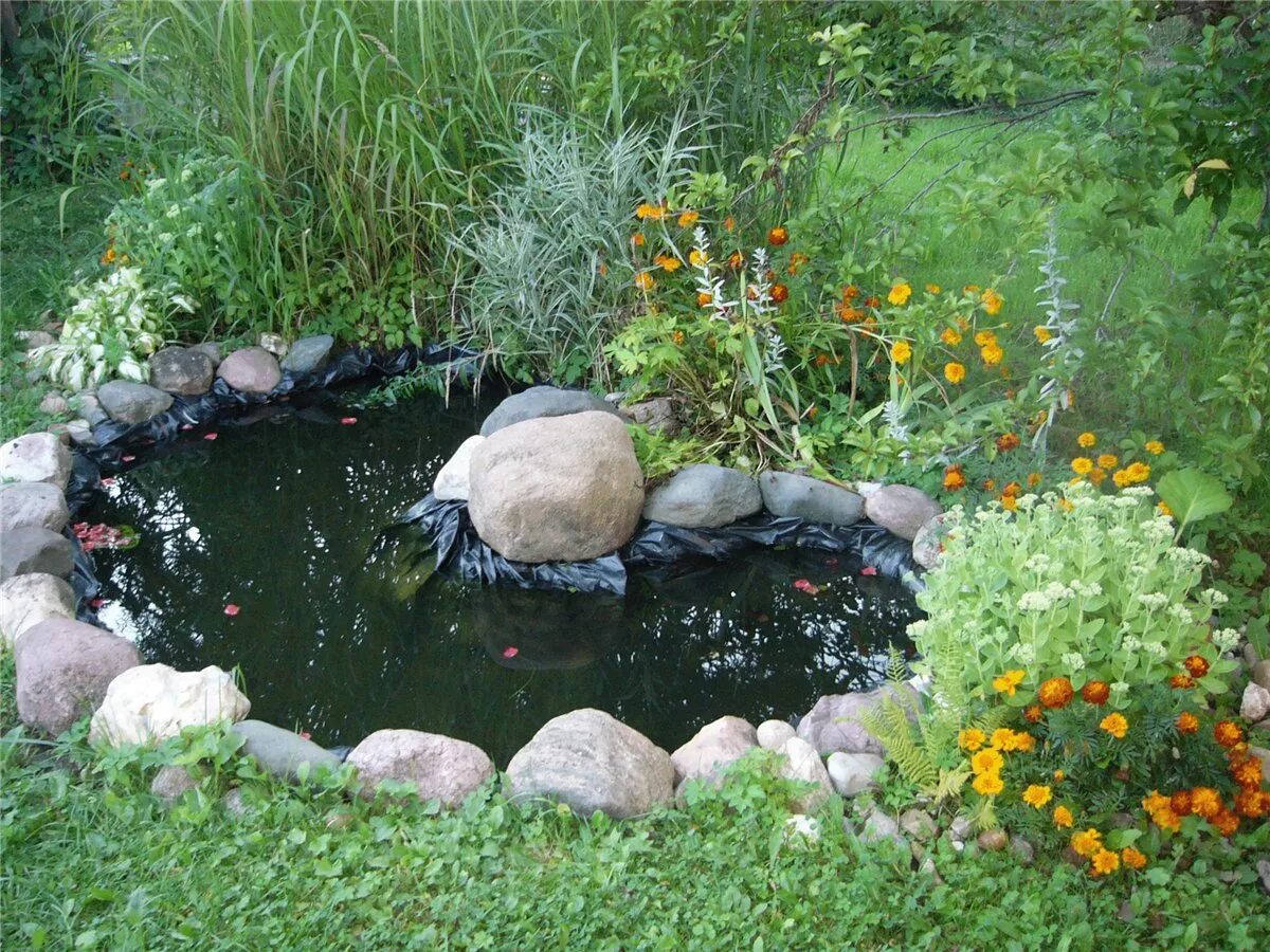 Водоем в огороде