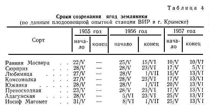 Сроки 4. Таблица сроки созревания клубники. Сроки созревания таблица. Срок созревания ягод таблица. Сроки созревания ягод.