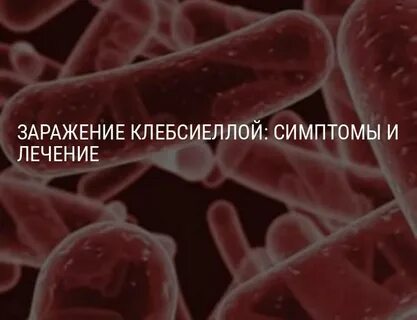 Клебсиелла в моче у женщин откуда появляется