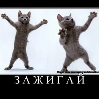 Зажигаем прикольная песня