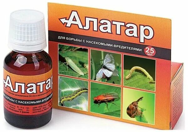 Алатар для борьбы с насекомыми. Средство от тли алатар. Алатар от морковной мухи. Алатар (25 мл). Алатар 5мл.