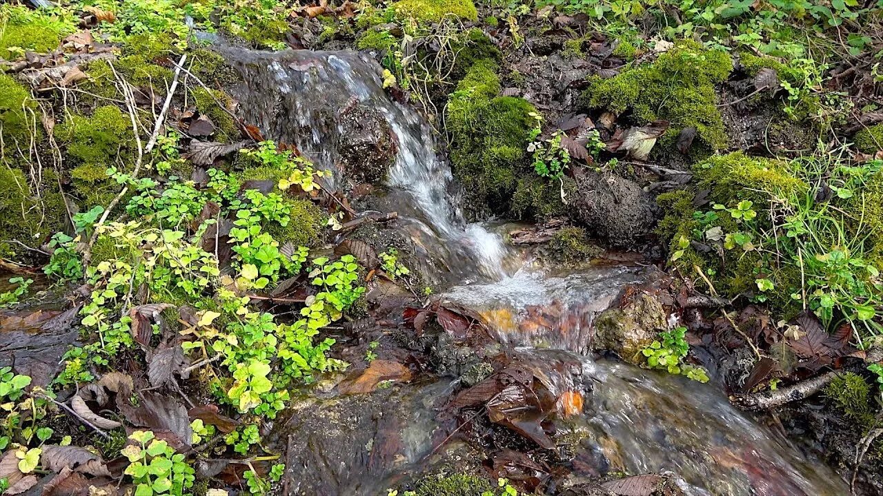 Шум воды ручья. Журчание ручья звук. Шум воды и ручья. Звуковой Ручеек. Ручей шумный Апатиты.