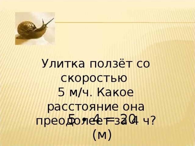 Улитка ползет. Улитка ползет по столбу высотой 10 метров. Средняя скорость улитки км/ч. Улитка ползет скорость. В первую минуту улитка проползла 11 см