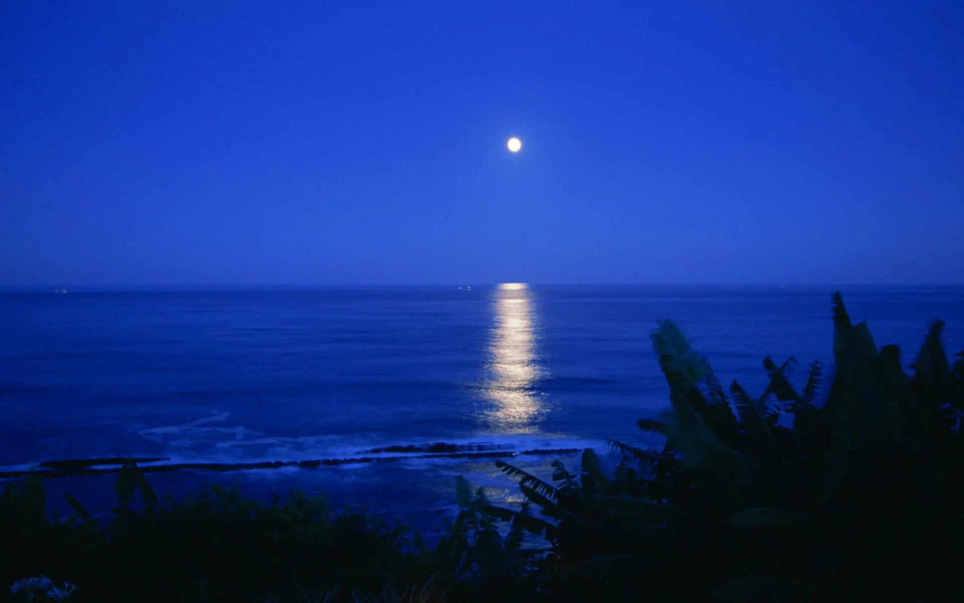 Тихий вечер вечер сине. Ночное море. Ночь в море. Ночной пляж. Пляж ночью.