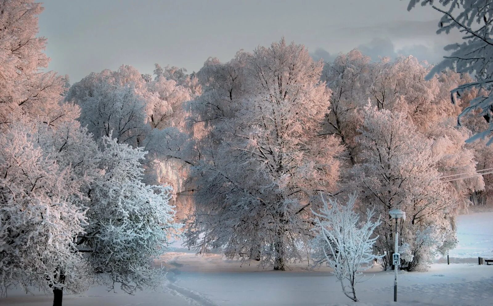 Декабрь картинки. Очарование зимы. Декабрь природа. Красота зимы фото. Январь пейзаж.