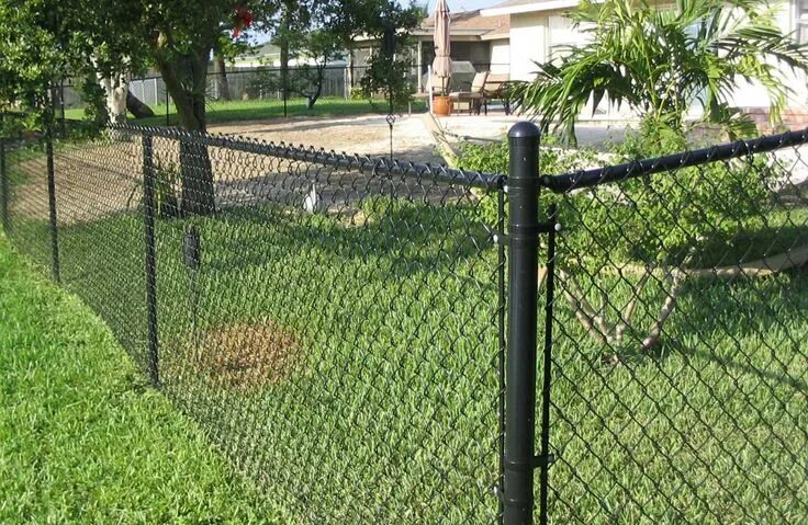 Даже из обычной сетки можно сотворить шедевр Backyard fences, Lattice fence, Fen