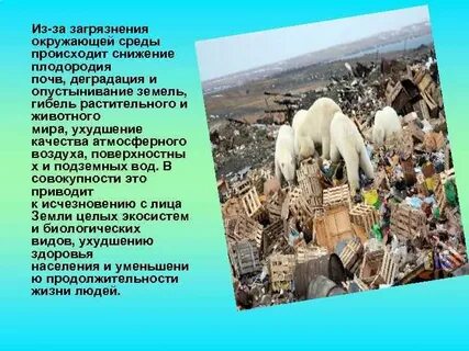 Деградация среды