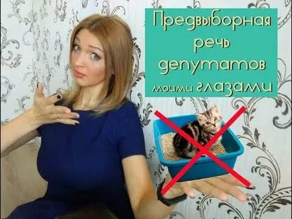 Тезисы депутата