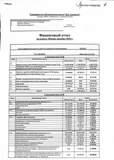 Форма отчета тсж