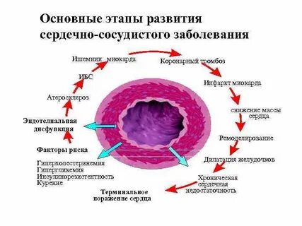 Эндотелиальная дисфункция