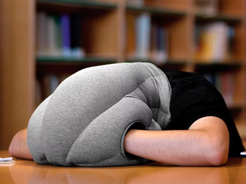 Спать головой в подушку. Подушка страус для сна. Необычные подушки для сна. Офисная подушка для сна. Подушка для сна в офисе за столом.