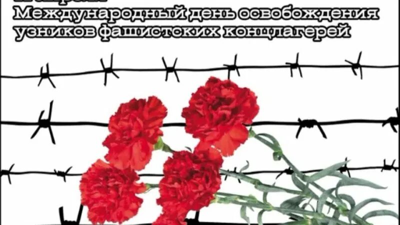 День освобождения фашистских лагерей. 11 Апреля день освобождения узников концлагерей. 11 Апреля день освобождения узников фашистских концлагерей. Международный день освобождения узников фашистских концлагерей. 11 Международный день освобождения узников фашистских концлагерей.