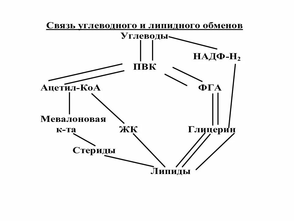 Спасис обмена. Схема взаимосвязи обмена углеводов и липидов. Взаимосвязь метаболических путей обмена углеводов и липидов. Взаимосвязь обмена веществ биохимия схема. Обмен углеводов схема биохимия.