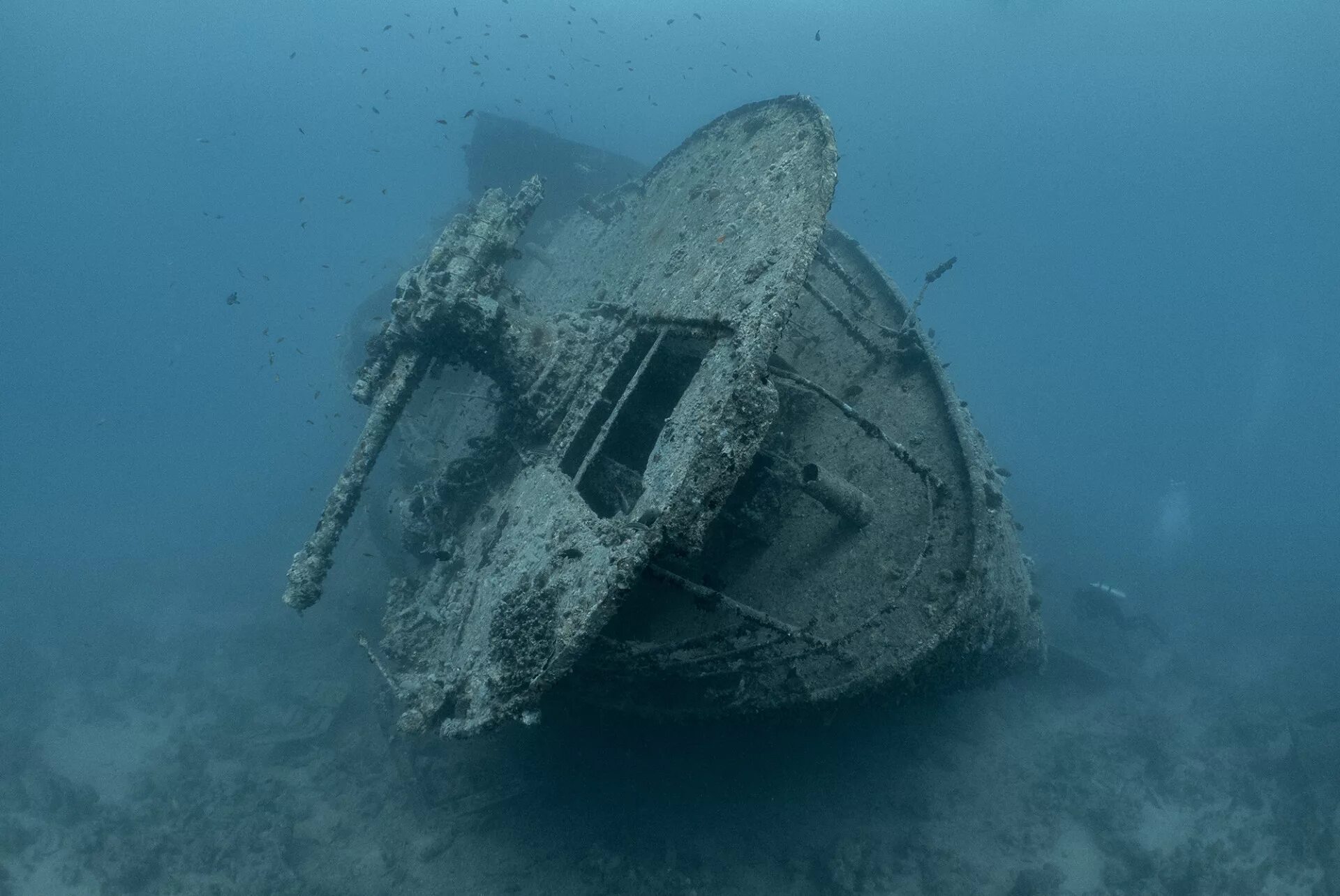 Какой корабль затоплен. Тистельгорм затонувший корабль. Корабль SS Thistlegorm, красное море. Затонувший корабль в Египте Тистлегорм. Корабль Рио Гранде затонувший.