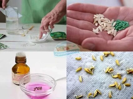 Как правильно замочить семечки