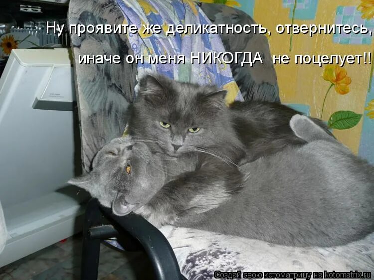 ей жить бы хотелось иначе носить драгоценный. ей жить хотелось иначе носить драгоценный наряд. фигня прикольная. а хотелось бы иначе. ей жить хотелось иначе носить драгоценный наряд.