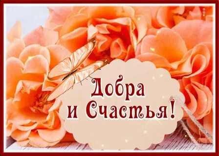 Лови добро