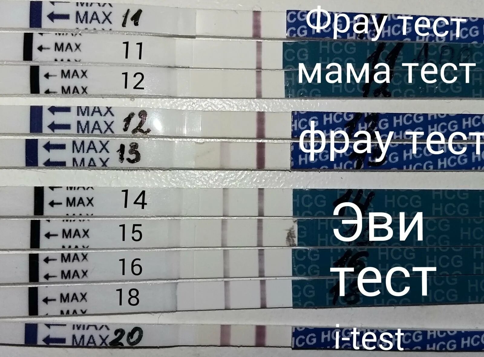 Ощущения удачного криопереноса. Тесты после переноса. Тест на беременность после подсадки. Тест на беременность после переноса. Динамика тестов на беременность.