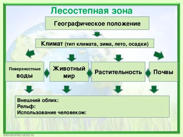 Лесостепи и степи 8 класс география тест. Лесостепная зона географическое положение климат почва. Лесостепи географическое положение климат почва. Климат лесостепи и степи в России таблица. Лесостепь почва растения животные.