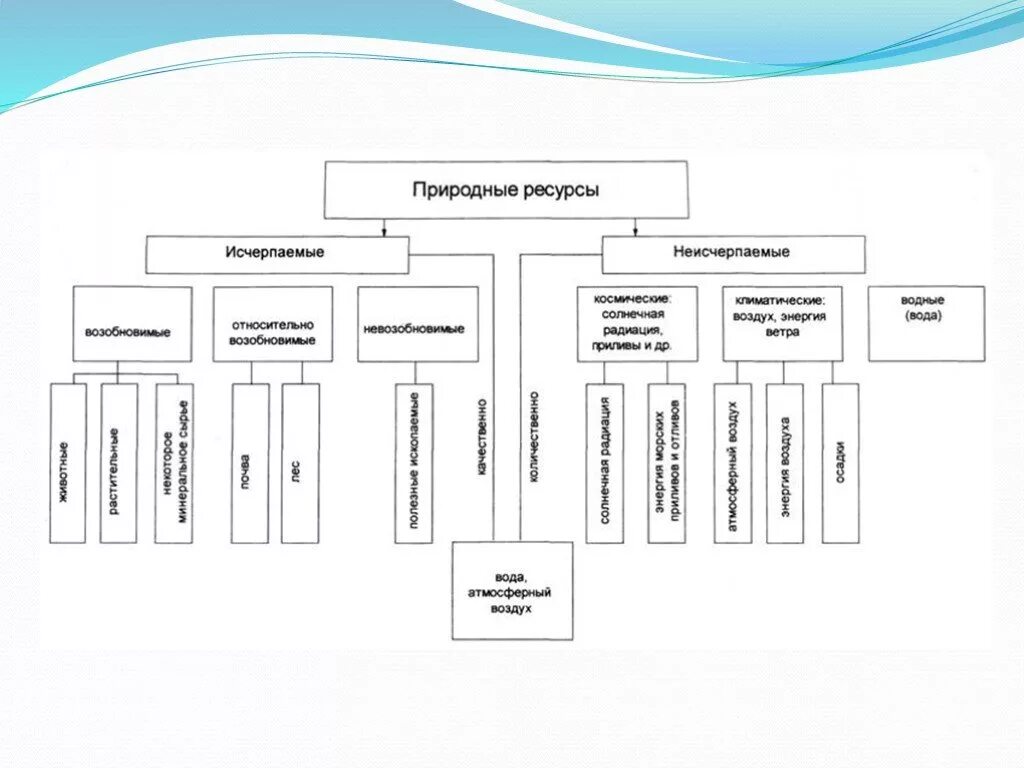 Классификация природных ресурсов схема. Природные ресурсы классификация. Классификация природных ресурсов схема экология. Основные компоненты природных ресурсов схема. Виды государственных природных ресурсов