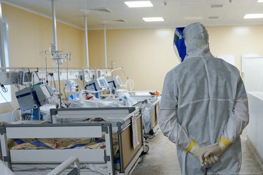 Коронавирус ситуация калининград. Коронавирус ситуация калининград. Лекарство от коронавируса. Коронавирус ситуация калининград. Коронавирус в калининграде.