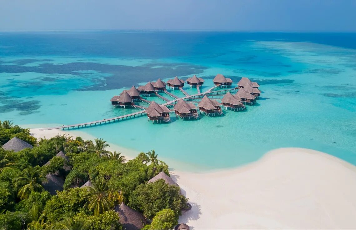 Coco мальдивы. Coco palm мальдивы. coco palm dhuni kolhu maldives. coco palm dhuni kolhu 5*. coco bodu hithi.