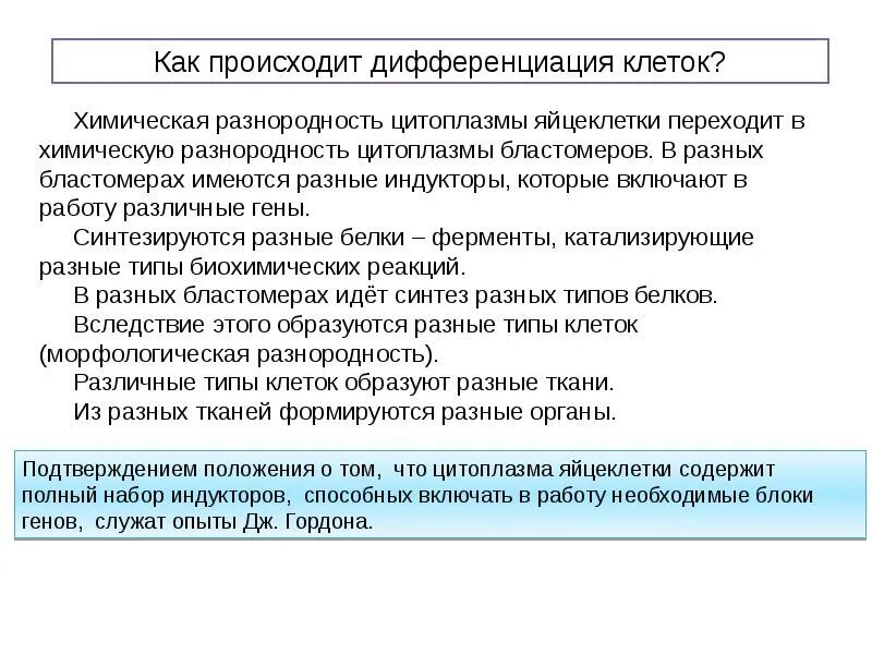 Как происходит дифференциация клеток. Как происходит дифференцировка клеток. Почему происходит дифференцировка клеток. Этапы дифференциации клеток.