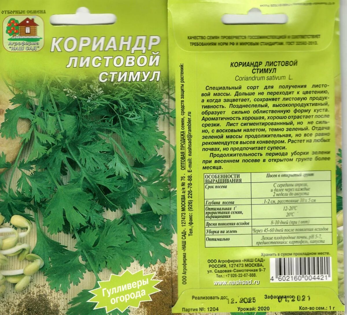 Кориандр посадка. Кориандр это семена кинзы. кориандр овощной (кинза) рассада. кориандр листовой. кориандр. салатный. стимул..