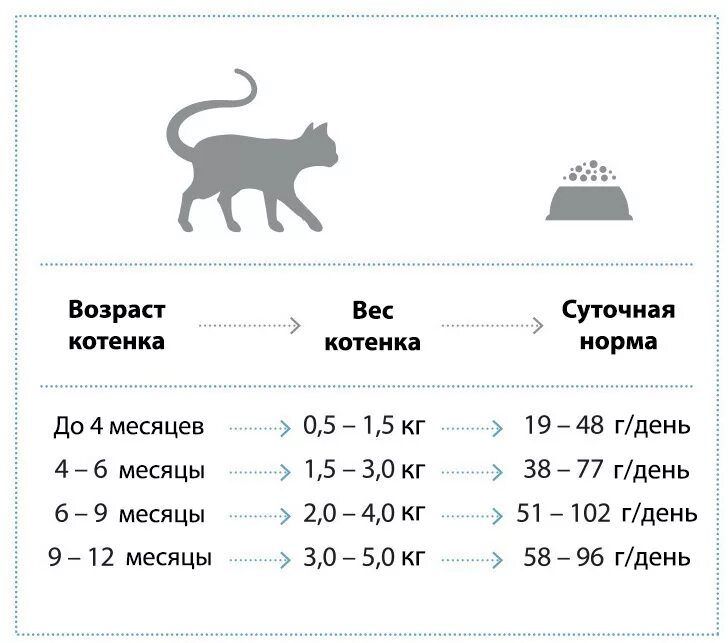 Норма веса шотландского кота. Норма кормления котов сухим кормом. Вес котенка по месяцам таблица. Таблица веса котят.