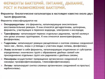 Идентификация бактерий по ферментативной активности