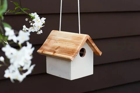 Stylish Birdhouse Painting Ideas That Are Also Bird-Safe.