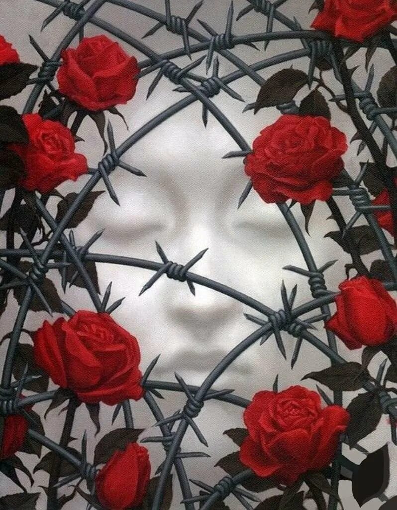 Стебель розы с шипами. Красные шипы. Euphorbia pentagona. Rosa omeiensis pteracantha. Красные шипы.