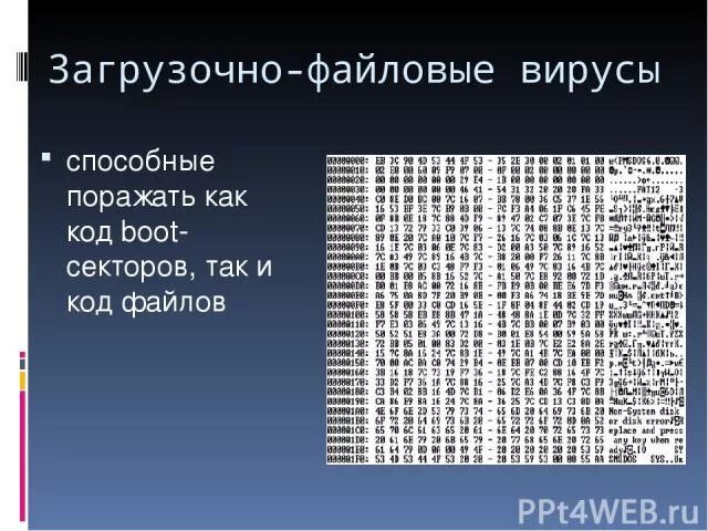 Загрузочный вирус поражает. Файловые вирусы. Файлово-загрузочные вирусы. Файлово-загрузочные вирусы примеры. Загрузочно-файловые вирусы фото.