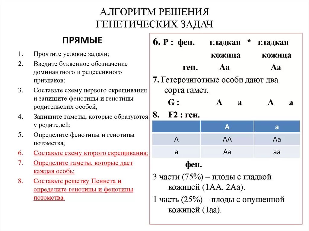 10 класс решение генетических задач. Алгоритм решения генетических задач по биологии 10 класс. Алгоритм решения генетических задач по биологии. Алгоритм решения генетических задач по биологии 9 класс. Алгоритм решения задач по генетике с примерами.