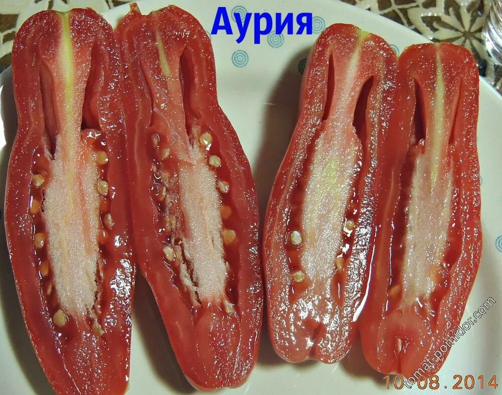 Томат Аурия. Перец Аурия. Жиголо Аурия. Аурия изумруд