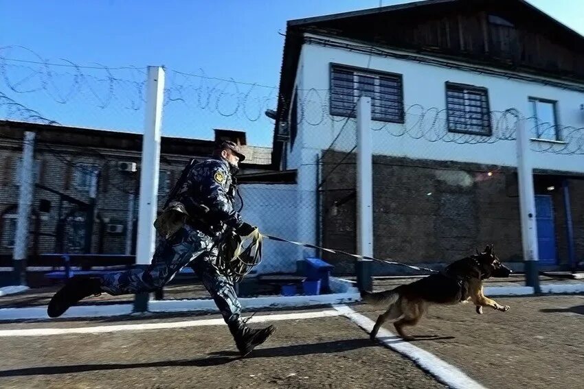 С кем главный герой сбежал из конвоя. Конвоирование осужденных. Побег ФСИН. Конвоирование осужденных ФСИН. ФСИН охрана на вышке.