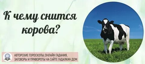 Сонник корова во сне